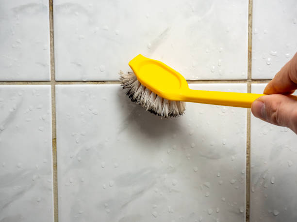 Best Preventive Mold Services in Alexandria, VA