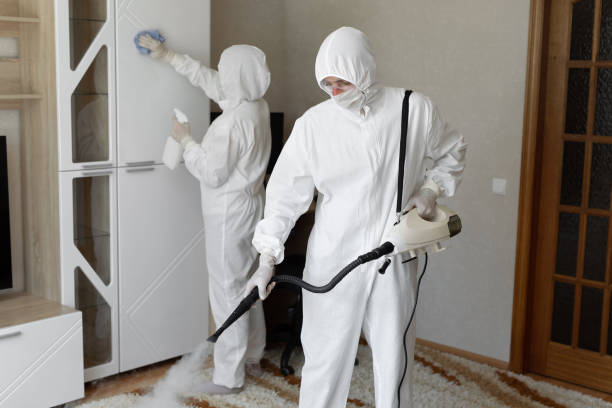 Best Post-Flood Mold Remediation in Alexandria, VA