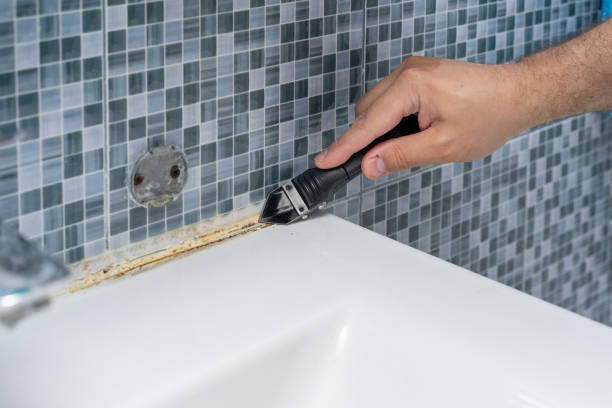 Best White Mold Remediation in Alexandria, VA